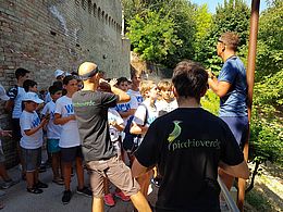 Cultural activities