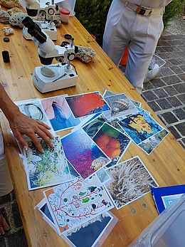 Marine activities